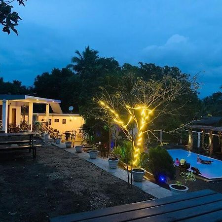Lily Resort Udawalawe Exterior photo